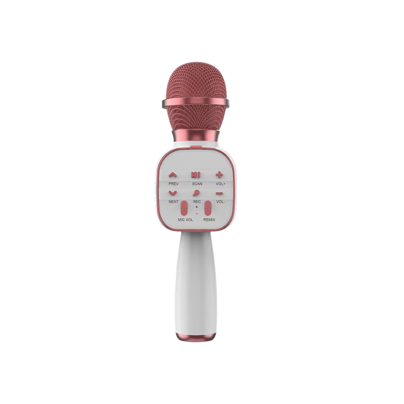 5 in 1 Portable Handheld Karaoke Mic Speaker Bluetooth Wireless